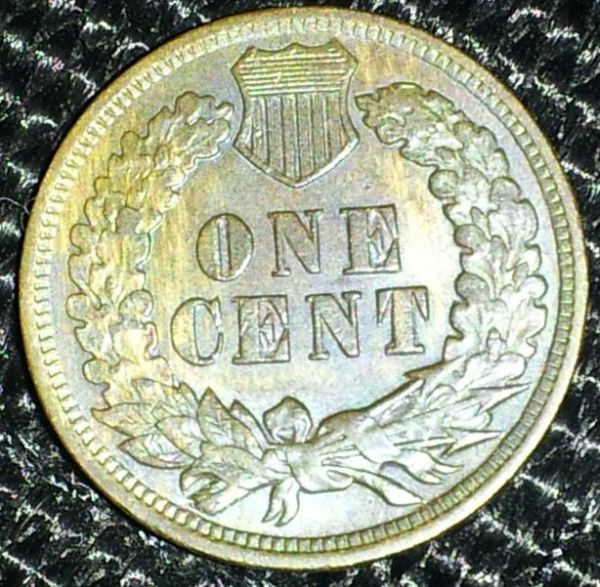 Toned-1903-IHC-For-Grading